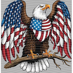 USA-MG 3589